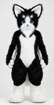 Cat Mascot Costume