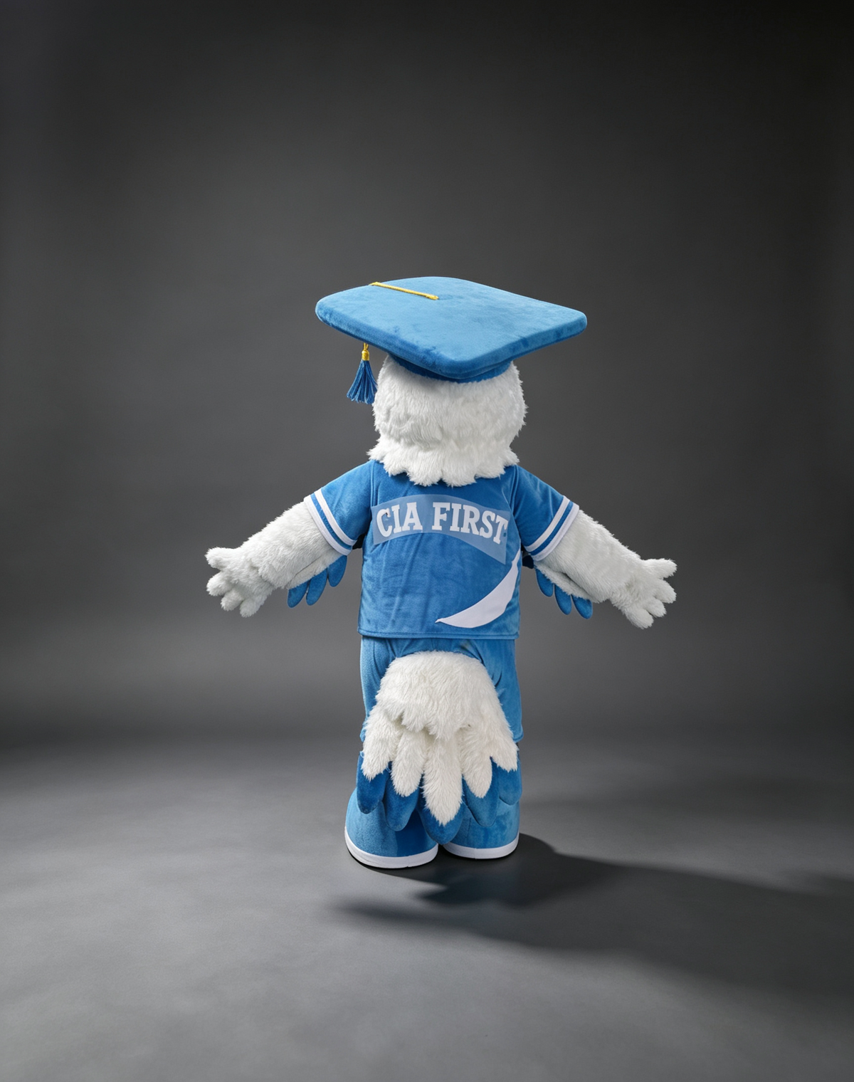 Custom Graduation Eagle Mascot Costume