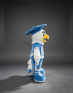 Custom Graduation Eagle Mascot Costume