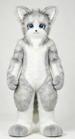 Cat Mascot Costume